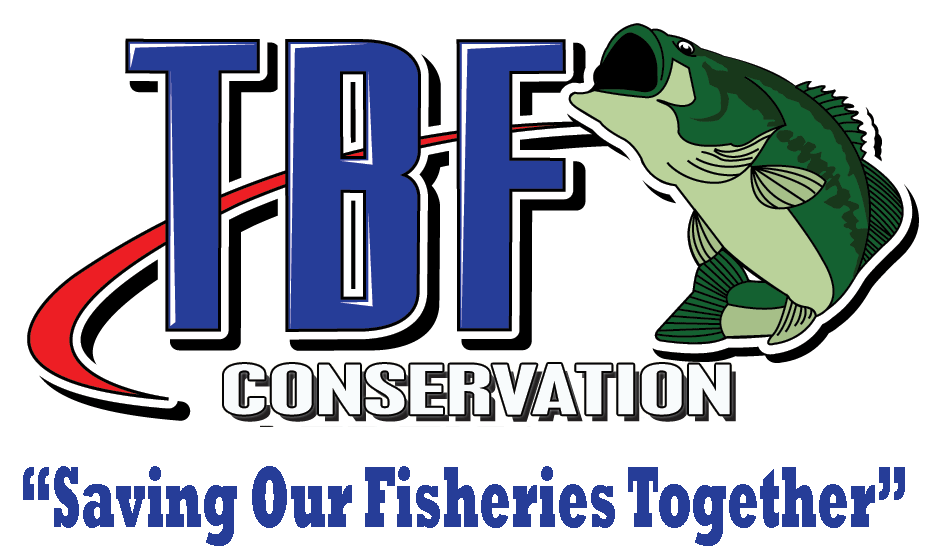 Logos – The Bass Federation (TBF)